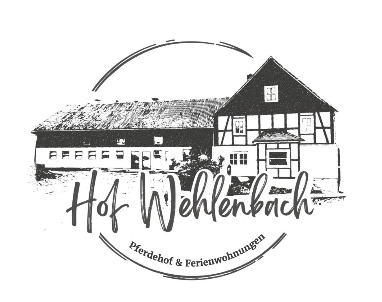 Ferienwohnung Hof Wehlenbach ハレンベルク エクステリア 写真